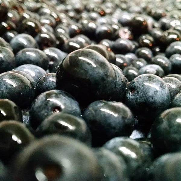 Bourbon Blueberry Jam - Copper Pot & Wooden Spoon