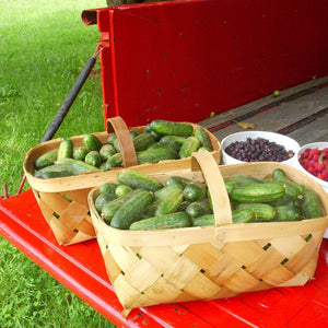 Dill Pickle Chips - Spicy Jalapeno - Copper Pot & Wooden Spoon
