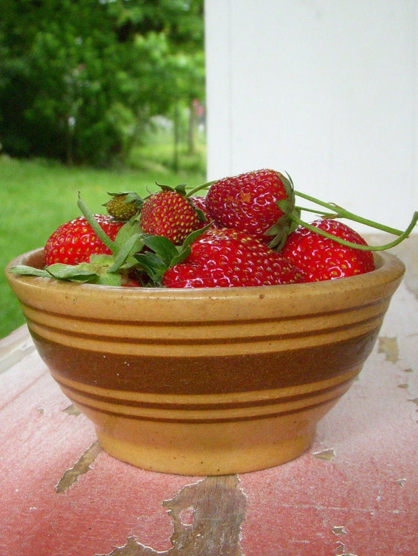 Strawberry Rhubarb Jam - Copper Pot & Wooden Spoon
